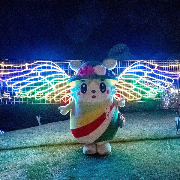 『フラワーイルミネーション』映えてるかな?