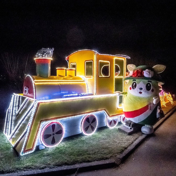 『フラワーイルミネーション』キラキラのフラワートレイン