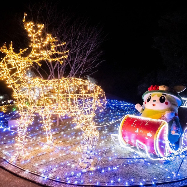 『フラワーイルミネーション』プレゼントを届けに行くよ!