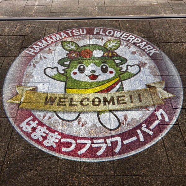 『フラワーイルミネーション』遊びに来てね♪