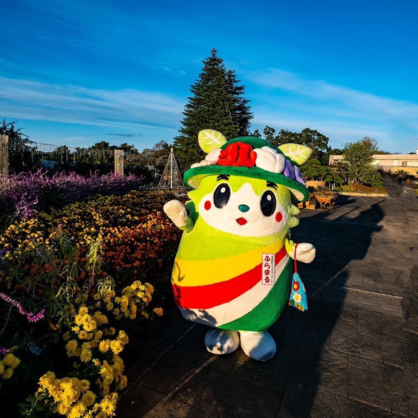 フラワーイルミネーションスタート!