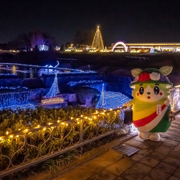 フラワーイルミネーション2025