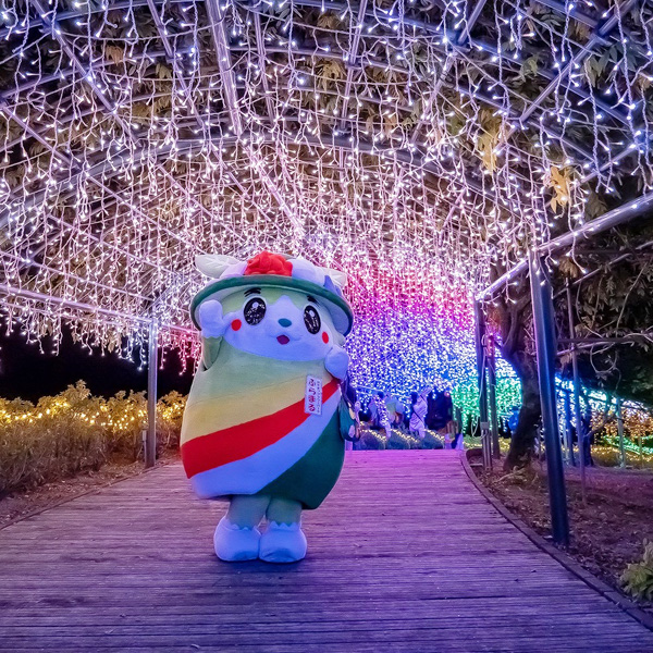 フラワーイルミネーション2025