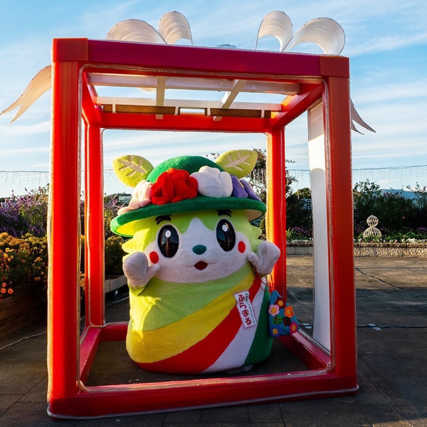 『フラワーイルミネーション』クリスマスプレゼントをどうぞ