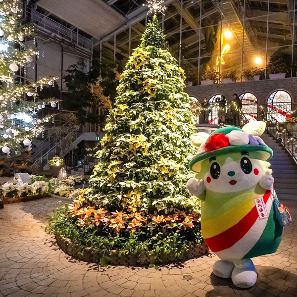 『フラワーイルミネーション』クリスタルパレスにて