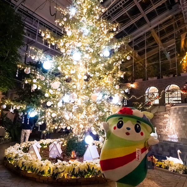 『フラワーイルミネーション』クリスマスツリー大きいね!