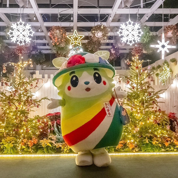 『フラワーイルミネーション』クリスタルパレスにて