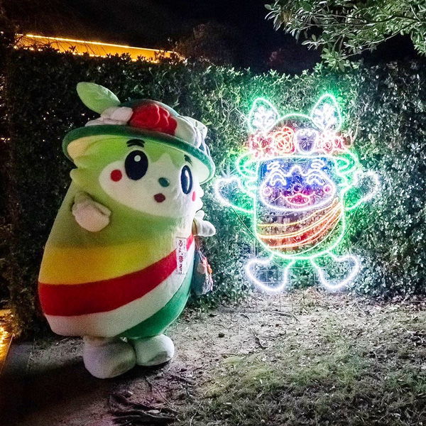 『フラワーイルミネーション』ふらまるの光のオブジェだよ!