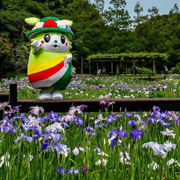 浜名湖花フェスタ2025閉幕日の様子