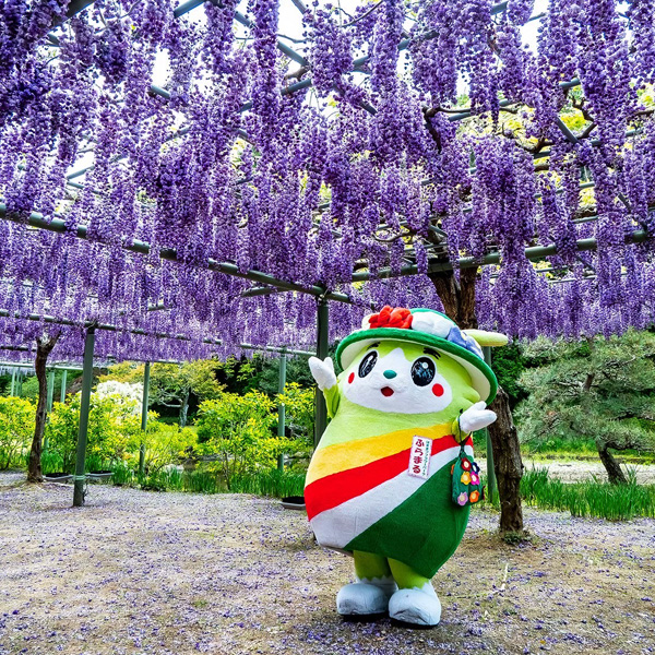 ふらまるさんぽ 2025年4月26日