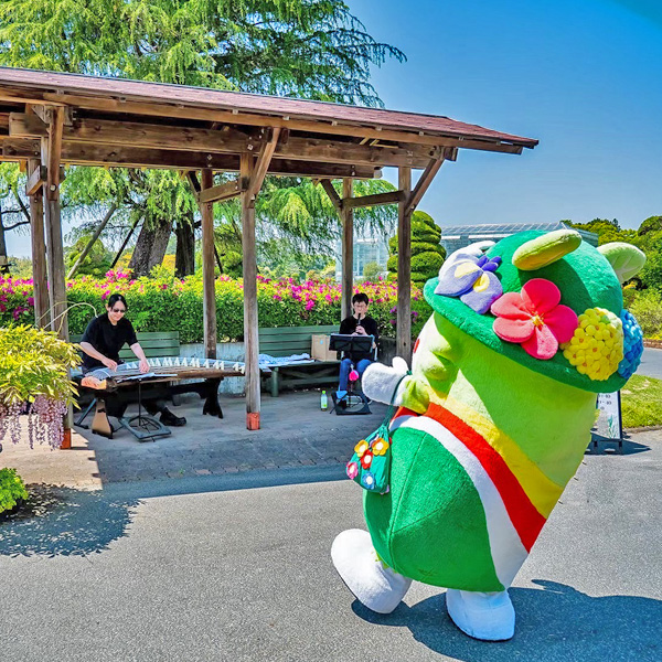 ふらまるさんぽ 2025年4月26日