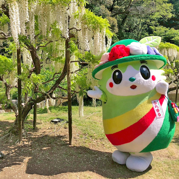 ふらまるさんぽ 2025年5月4日