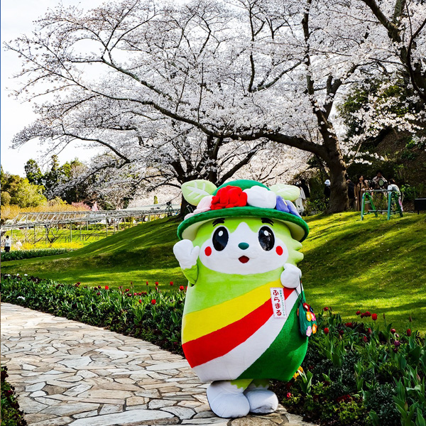 見頃を迎えたソメイヨシノ