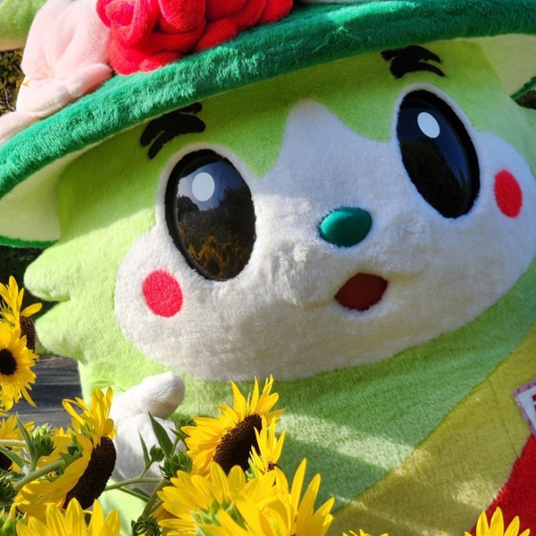 ふらまる夏のいち日。満開のひまわりと満開の笑顔のふらまる